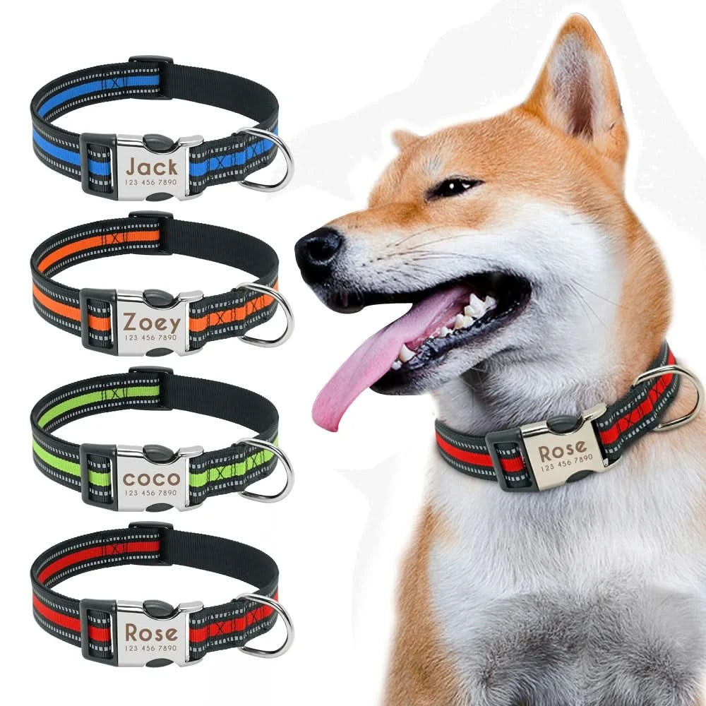 Nylon Dog Collar