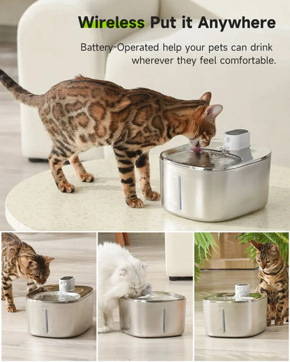 4L Wireless Cat Water Fountain