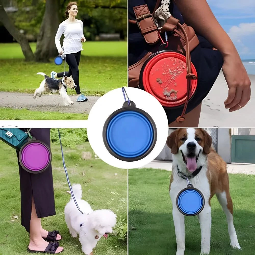 Pet Dog Collapsible Bowl