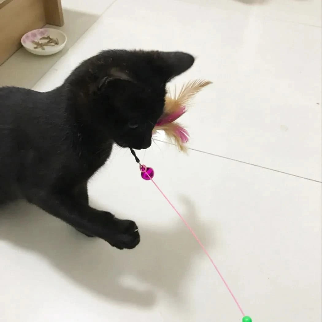 Feather Wand Cat Teaser Toy