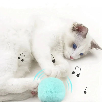 Plush Electric Catnip Training Toy