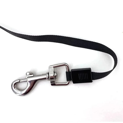 Retractable Dog Leash