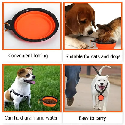 Pet Dog Collapsible Bowl