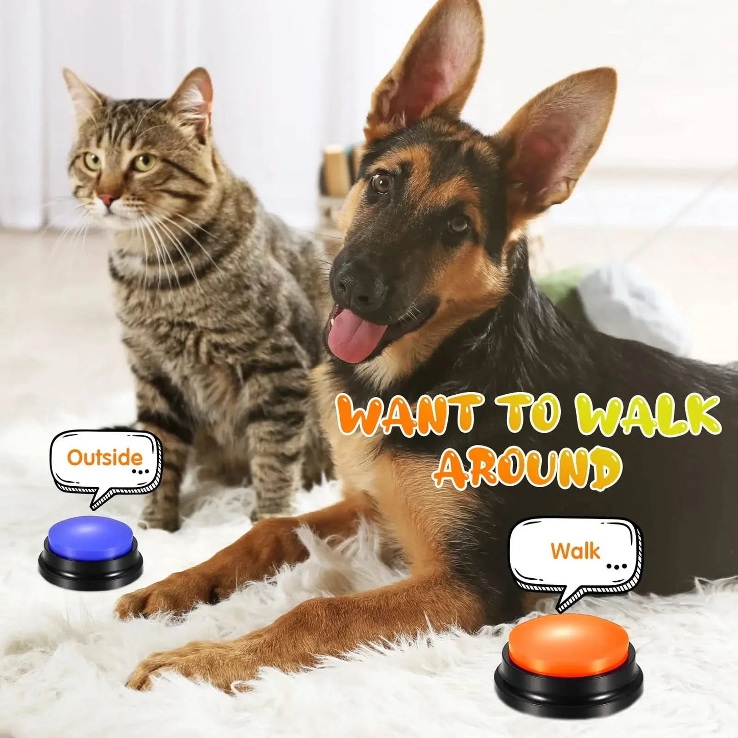 Funny Dog Recordable Pet Toys