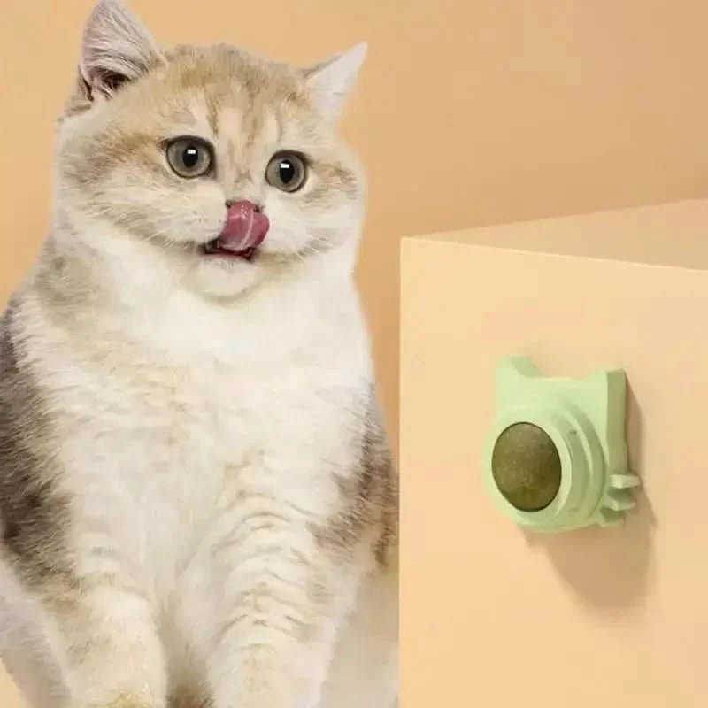 Funny Lickable Cat Snack Catnip