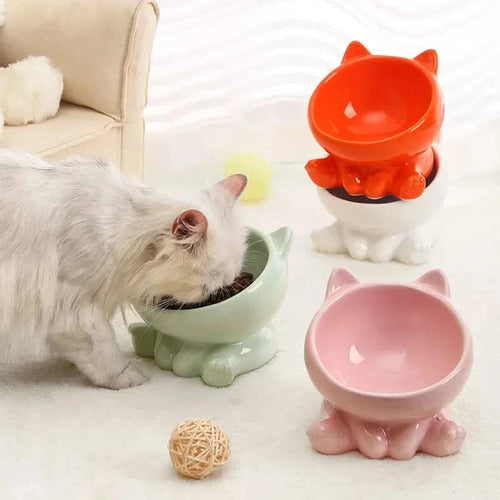 Pet Bowl