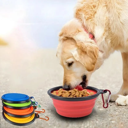 Pet Dog Collapsible Bowl