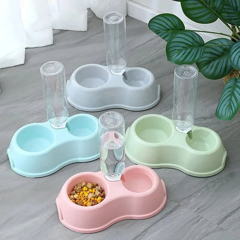 Pet Cat Bowl