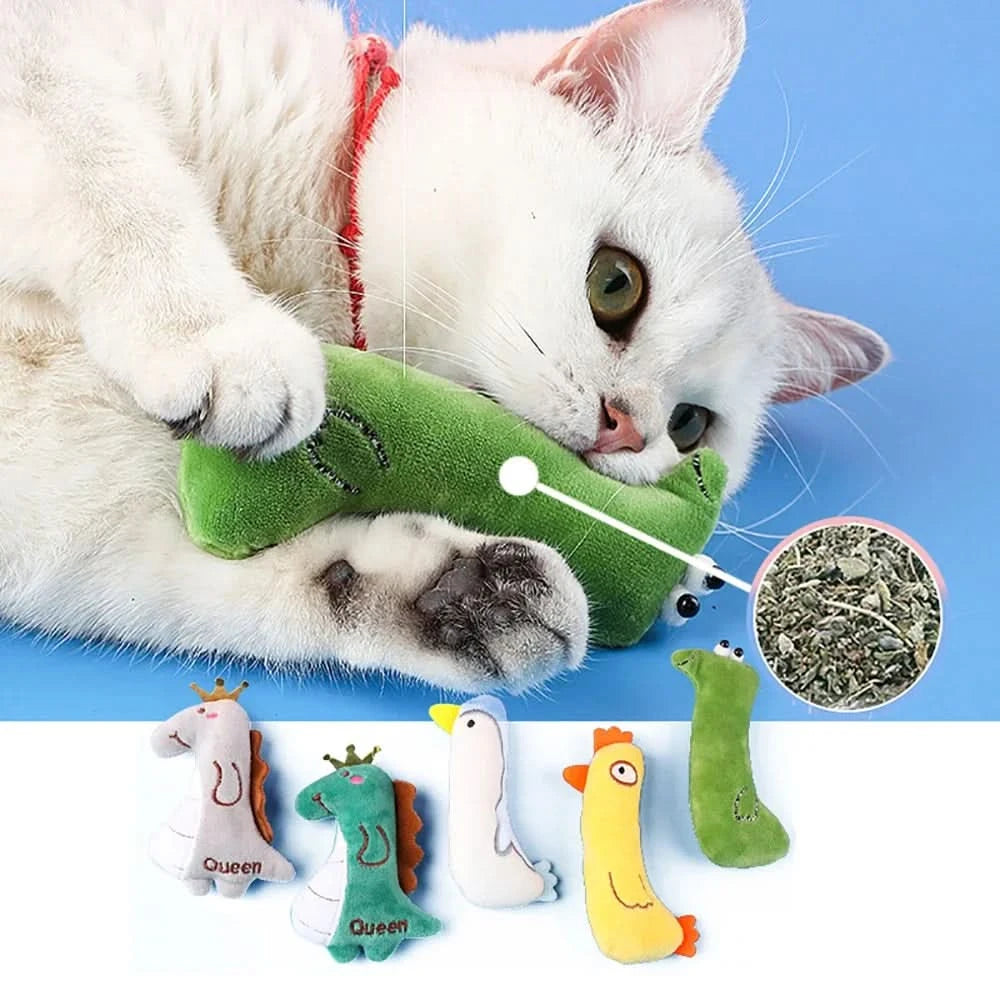 Catnip Pets Toy