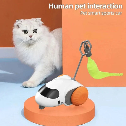 Smart Cat Toy